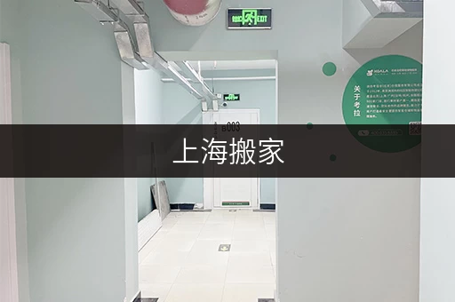 上海搬家,轻松租借,迷你考拉仓助您随存随取 上海搬家,轻松租借,迷你考拉仓助您随存随取