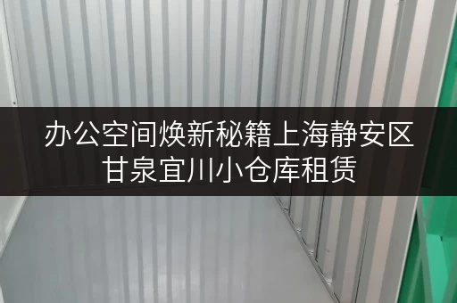 办公空间焕新秘籍上海静安区甘泉宜川小仓库租赁，轻松释放办公空间