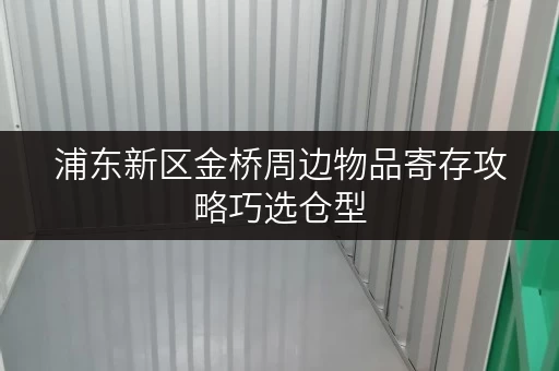 浦东新区金桥周边物品寄存攻略巧选仓型，释放空间新境界