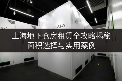 上海地下仓房租赁全攻略揭秘面积选择与实用案例 上海地下仓房租赁全攻略揭秘面积选择与实用案例