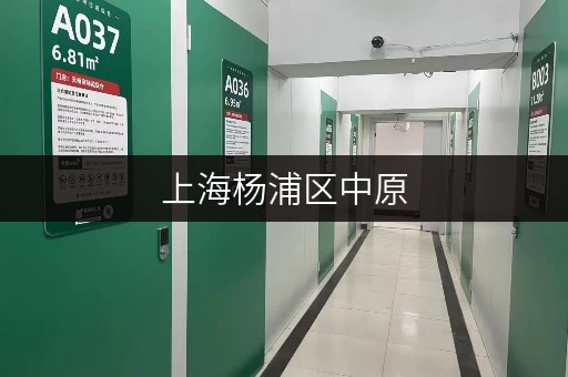 上海杨浦区中原,迷你考拉仓——您的物品安全守护者 上海杨浦区中原,迷你考拉仓——您的物品安全守护者