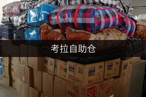 考拉自助仓,上海办公空间释放的秘密武器 考拉自助仓,上海办公空间释放的秘密武器