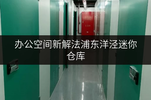 办公空间新解法浦东洋泾迷你仓库,轻松释放办公空间压力 办公空间新解法浦东洋泾迷你仓库,轻松释放办公空间压力