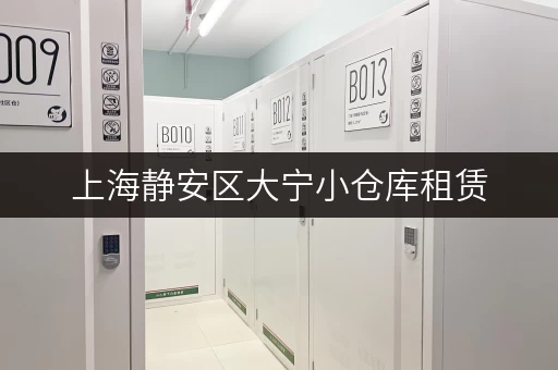 上海静安区大宁小仓库租赁,存取无忧,全时段服务 上海静安区大宁小仓库租赁,存取无忧,全时段服务