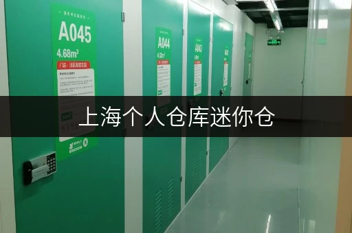 上海个人仓库迷你仓,安全与温湿监控双重保障,你的私人储物空间 上海个人仓库迷你仓,安全与温湿监控双重保障,你的私人储物空间