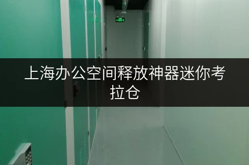 上海办公空间释放神器迷你考拉仓,您的办公用品存放专家 上海办公空间释放神器迷你考拉仓,您的办公用品存放专家