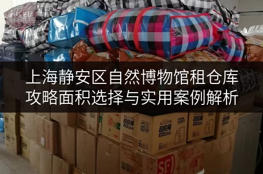 上海静安区自然博物馆租仓库攻略面积选择与实用案例解析