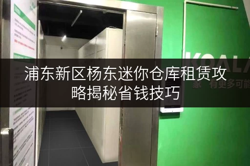 浦东新区杨东迷你仓库租赁攻略揭秘省钱技巧，价格透明全解析