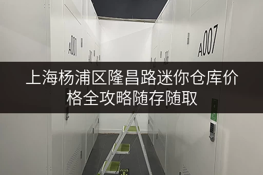 上海杨浦区隆昌路迷你仓库价格全攻略随存随取，便捷无忧