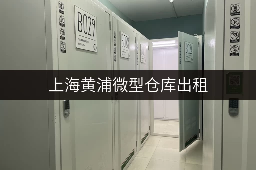 上海黄浦微型仓库出租，迷你考拉仓安全温控，贴心管家式服务