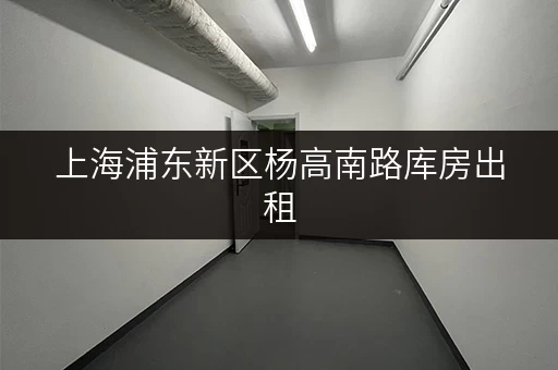 上海浦东新区杨高南路库房出租，省钱攻略大揭秘！