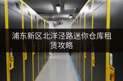 浦东新区北洋泾路迷你仓库租赁攻略，揭秘省钱技巧