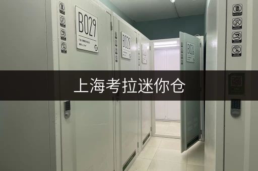 上海考拉迷你仓，解锁家庭空间新境界，品质生活从此升级！