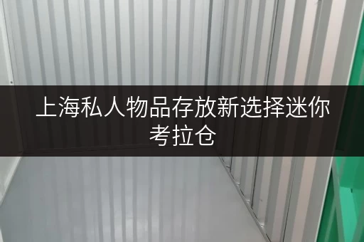 上海私人物品存放新选择迷你考拉仓,安全温湿监控,守护您的宝贝 上海私人物品存放新选择迷你考拉仓,安全温湿监控,守护您的宝贝
