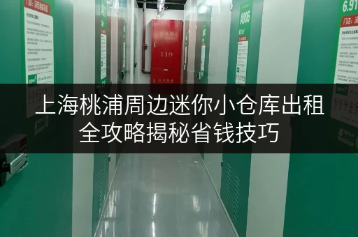 上海桃浦周边迷你小仓库出租全攻略揭秘省钱技巧，轻松储物无忧