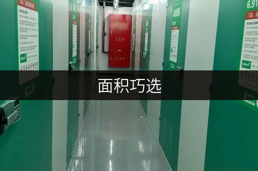 面积巧选，空间无忧——浦东新区世博小仓库出租全攻略