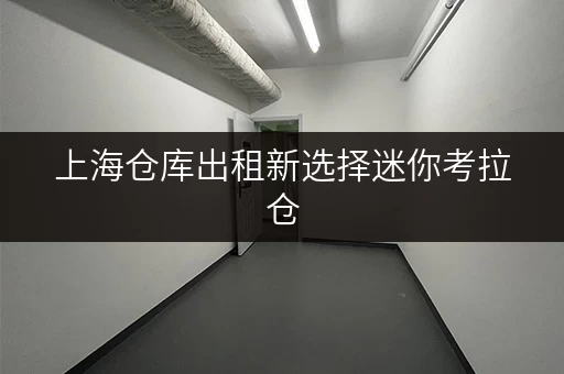 上海仓库出租新选择迷你考拉仓，存取便利，全天候服务！