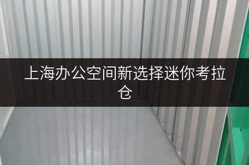 上海办公空间新选择迷你考拉仓，临时仓库出租口碑佳