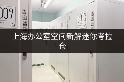 上海办公室空间新解迷你考拉仓，办公用品存放的智慧之选