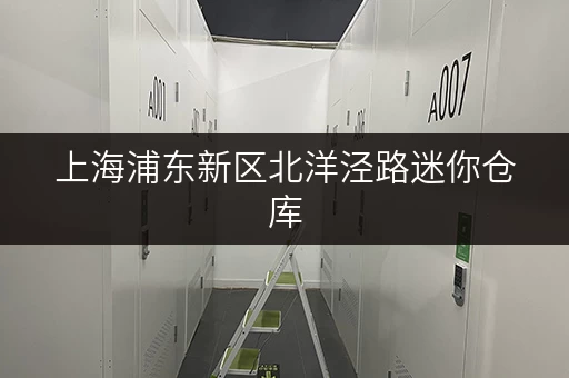 上海浦东新区北洋泾路迷你仓库，释放家庭空间，提升生活品质全攻略