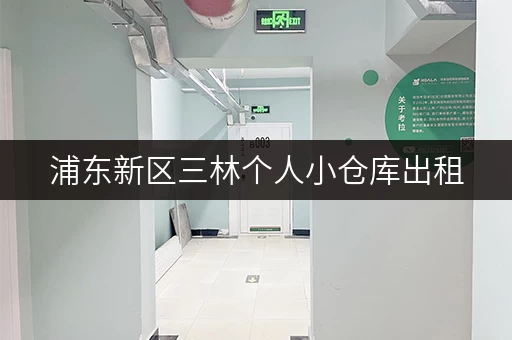 浦东新区三林个人小仓库出租，释放空间，提升生活品质