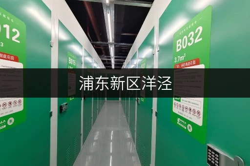 浦东新区洋泾，如何让物品寄存成为家庭空间的新伙伴？