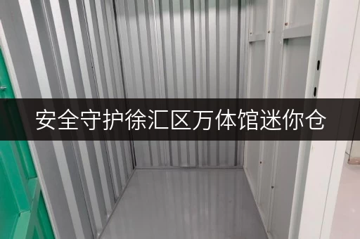 安全守护徐汇区万体馆迷你仓，价格透明，温湿监控，守护您的宝贝空间