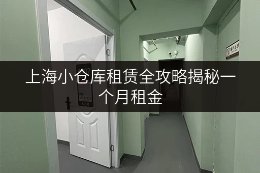 上海小仓库租赁全攻略揭秘一个月租金，省心存储方案一网打尽