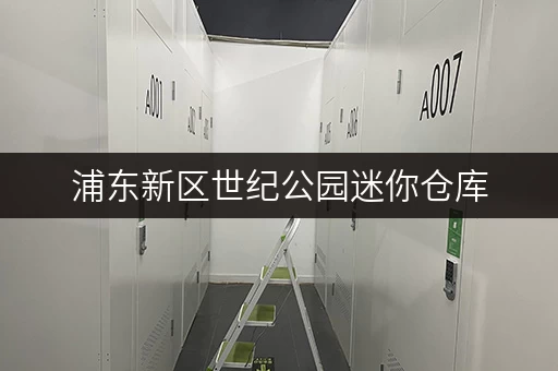 浦东新区世纪公园迷你仓库，价格透明全攻略