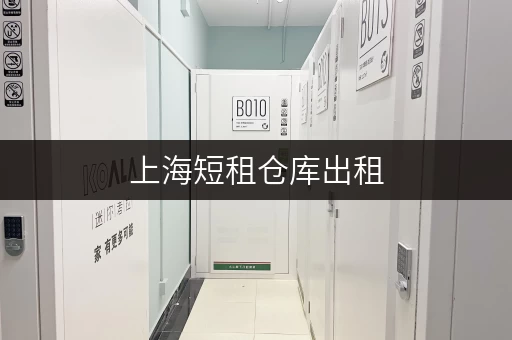 上海短租仓库出租，安全与温湿监控双重保障，迷你考拉仓为您打造安心存储空间