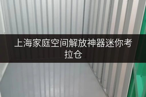 上海家庭空间解放神器迷你考拉仓，安全温湿监控，让您的物品安“新”家