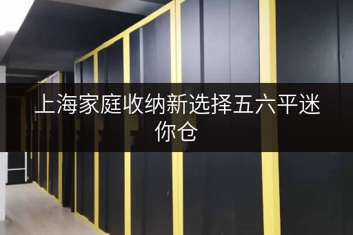 上海家庭收纳新选择五六平迷你仓，全时段服务畅享便捷生活