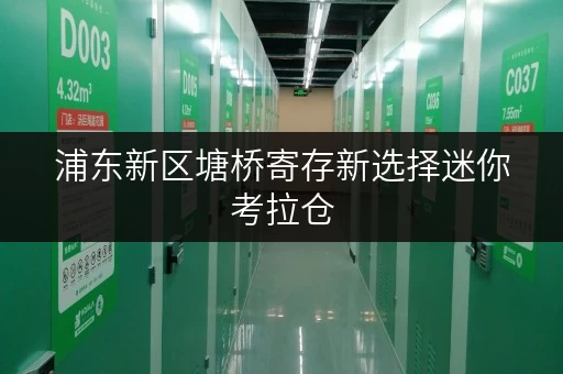 浦东新区塘桥寄存新选择迷你考拉仓，安全温控，您的物品守护者