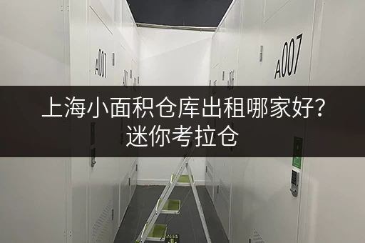 上海小面积仓库出租哪家好？迷你考拉仓，安全与温湿监控双重保障