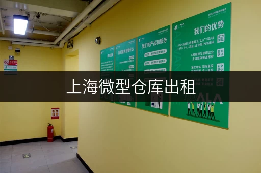 上海微型仓库出租，轻松释放办公空间，提升工作效率！