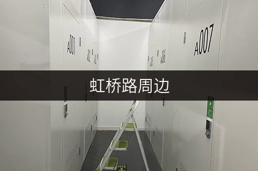 虹桥路周边，物品寄存的安全守护者——迷你考拉仓全解析