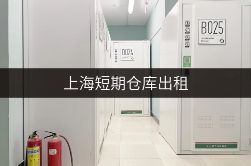 上海短期仓库出租，迷你考拉仓，您的省心存储方案