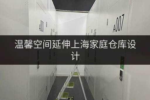 温馨空间延伸上海家庭仓库设计，安全与温湿监控打造私密储物天堂