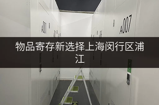 物品寄存新选择上海闵行区浦江，迷你考拉仓随存随取更便捷