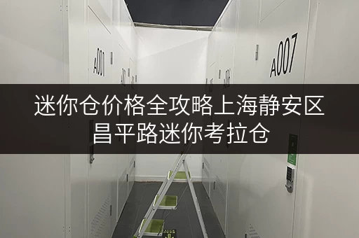 迷你仓价格全攻略上海静安区昌平路迷你考拉仓，安全与温湿监控双重保障