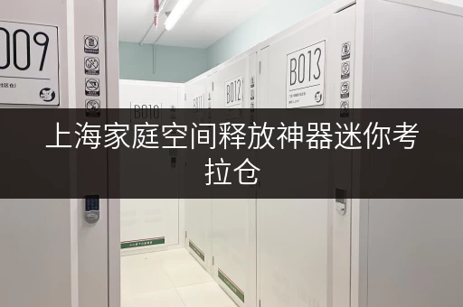 上海家庭空间释放神器迷你考拉仓，闲置仓库出租新选择