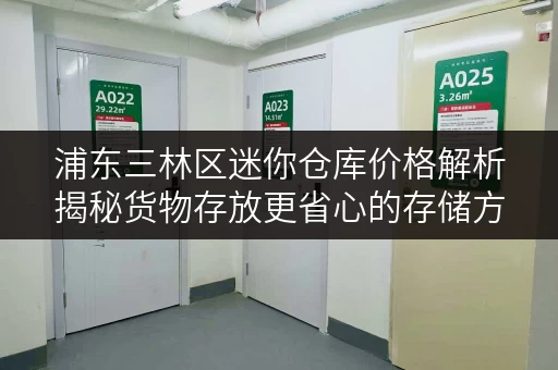 浦东三林区迷你仓库价格解析揭秘货物存放更省心的存储方案