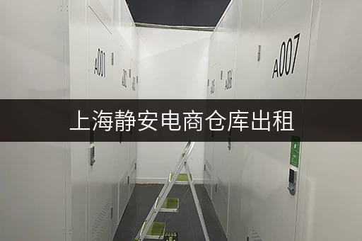 上海静安电商仓库出租,迷你考拉仓您的临时存储专家 上海静安电商仓库出租,迷你考拉仓您的临时存储专家