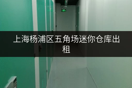 上海杨浦区五角场迷你仓库出租，安全与温湿监控双重保障