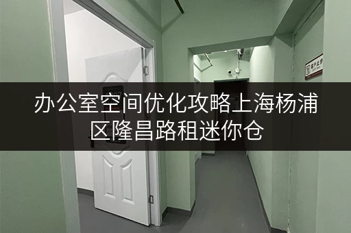 办公室空间优化攻略上海杨浦区隆昌路租迷你仓，释放办公空间新高度