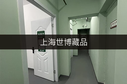 上海世博藏品，有了迷你考拉仓，寄存不再烦恼