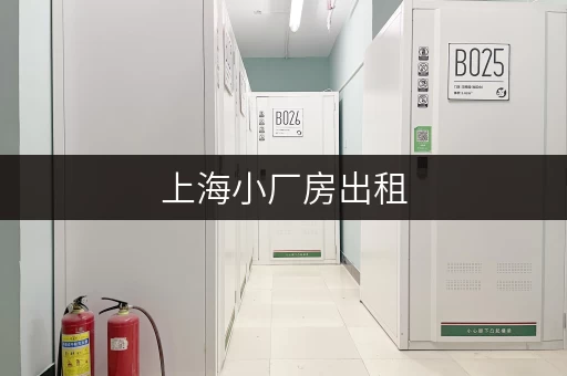 上海小厂房出租，随存随取，工作更便捷