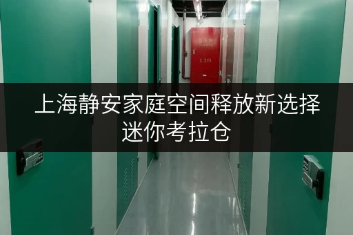 上海静安家庭空间释放新选择迷你考拉仓，品质生活从“储”开始