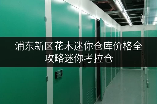 浦东新区花木迷你仓库价格全攻略迷你考拉仓，家庭空间释放新选择