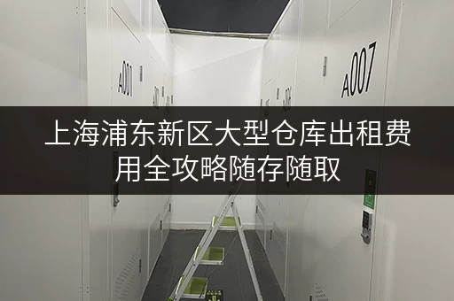 上海浦东新区大型仓库出租费用全攻略随存随取，便捷无忧